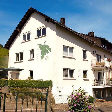 Weingut-Brennerei-Gaestehaus Emil Dauns Райль Екстер'єр фото