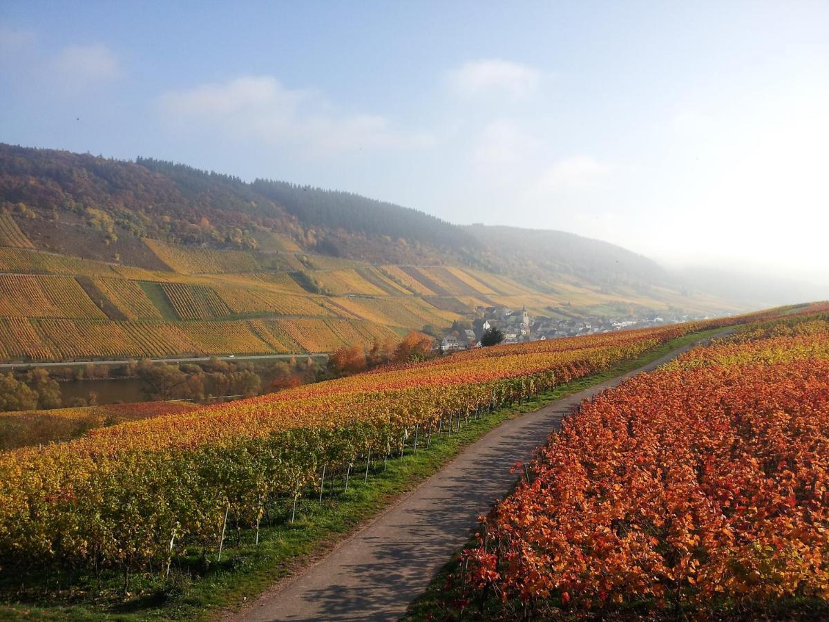 Weingut-Brennerei-Gaestehaus Emil Dauns Райль Екстер'єр фото