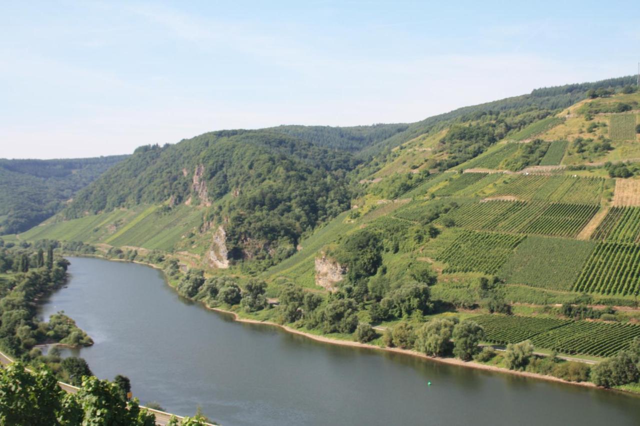 Weingut-Brennerei-Gaestehaus Emil Dauns Райль Екстер'єр фото
