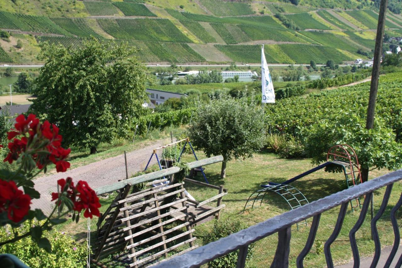 Weingut-Brennerei-Gaestehaus Emil Dauns Райль Екстер'єр фото