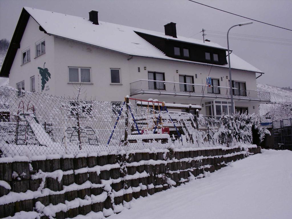 Weingut-Brennerei-Gaestehaus Emil Dauns Райль Екстер'єр фото