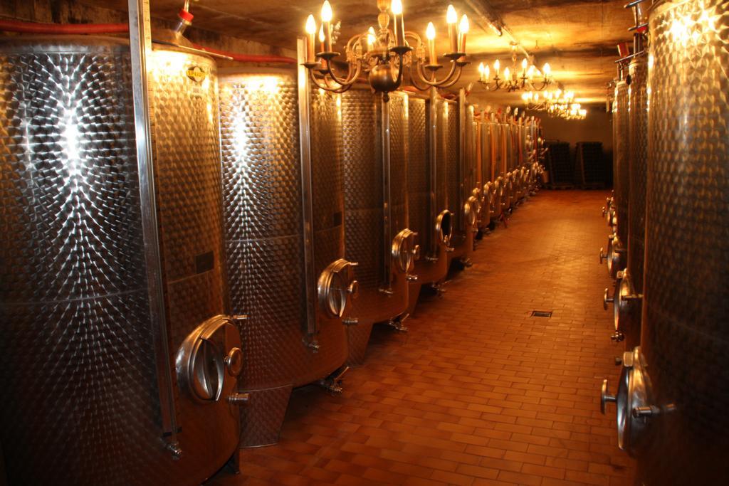 Weingut-Brennerei-Gaestehaus Emil Dauns Райль Екстер'єр фото
