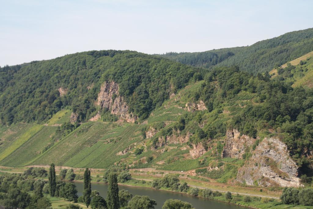 Weingut-Brennerei-Gaestehaus Emil Dauns Райль Екстер'єр фото