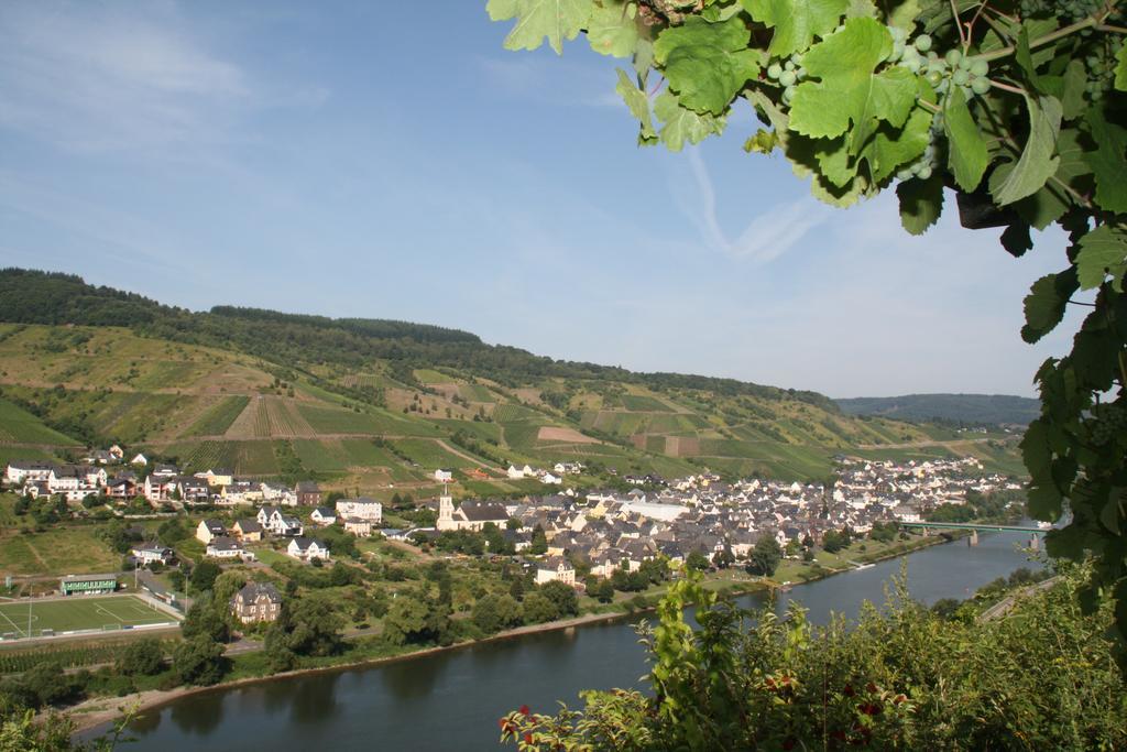 Weingut-Brennerei-Gaestehaus Emil Dauns Райль Екстер'єр фото