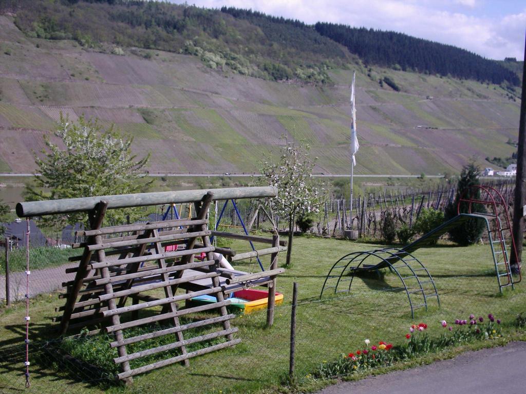 Weingut-Brennerei-Gaestehaus Emil Dauns Райль Екстер'єр фото