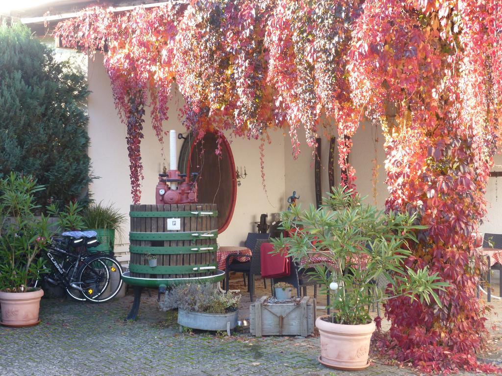 Weingut-Brennerei-Gaestehaus Emil Dauns Райль Екстер'єр фото