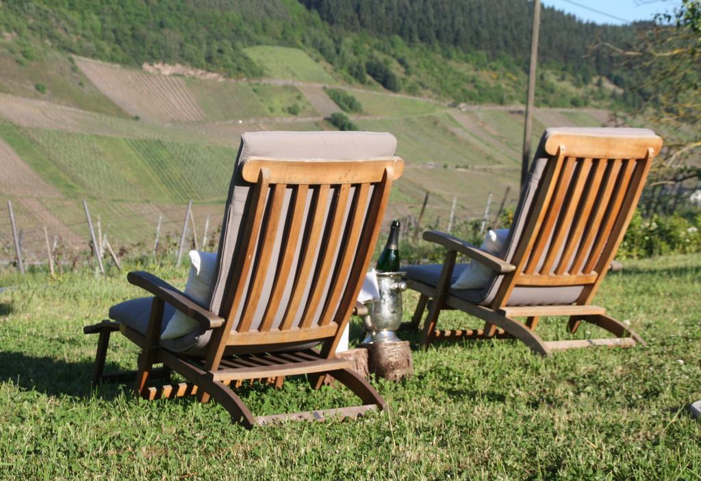 Weingut-Brennerei-Gaestehaus Emil Dauns Райль Екстер'єр фото