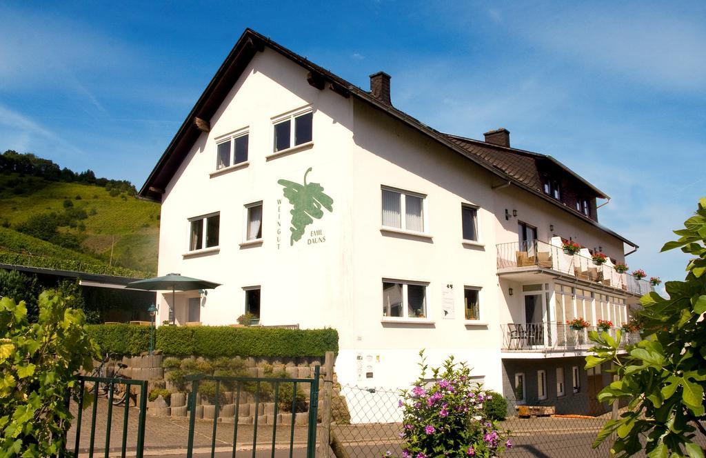 Weingut-Brennerei-Gaestehaus Emil Dauns Райль Екстер'єр фото