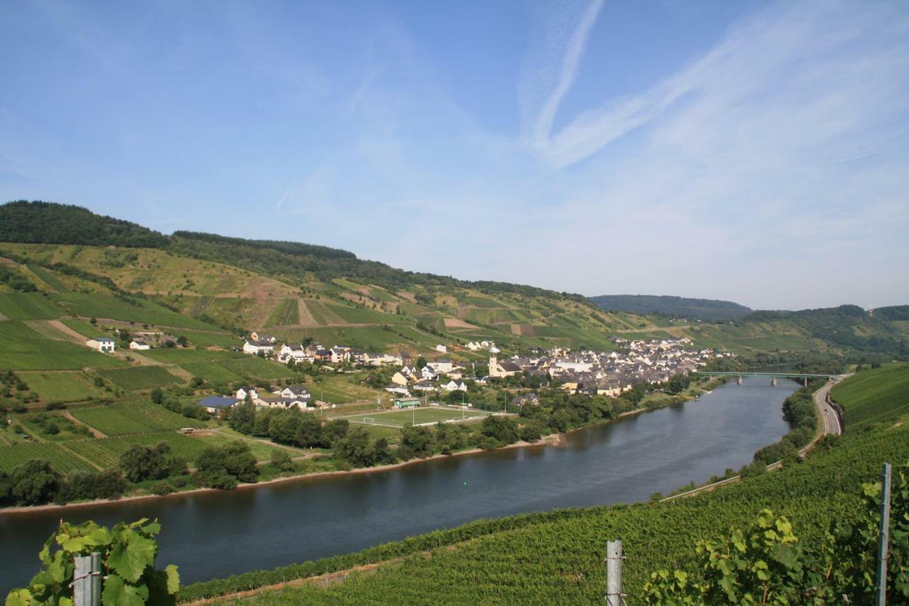 Weingut-Brennerei-Gaestehaus Emil Dauns Райль Екстер'єр фото