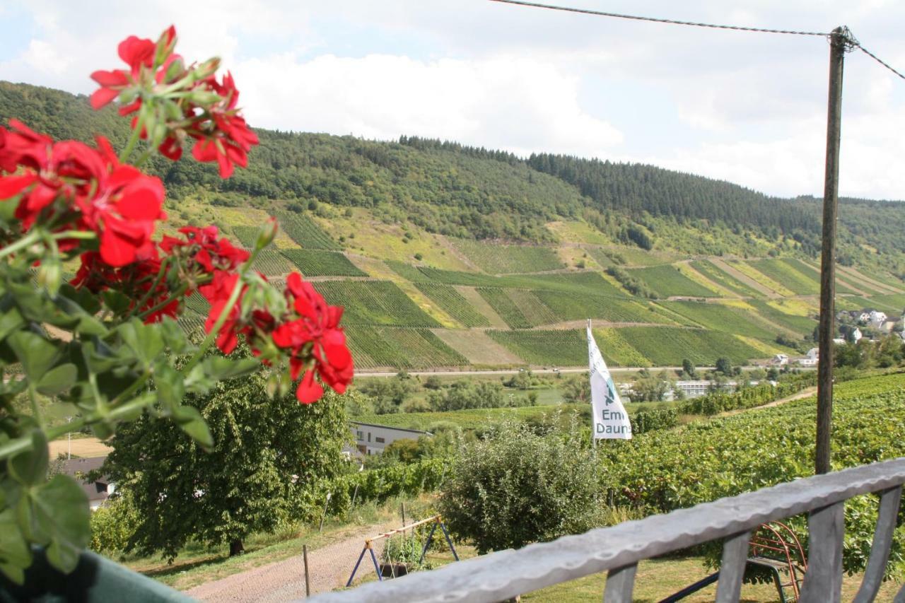 Weingut-Brennerei-Gaestehaus Emil Dauns Райль Екстер'єр фото
