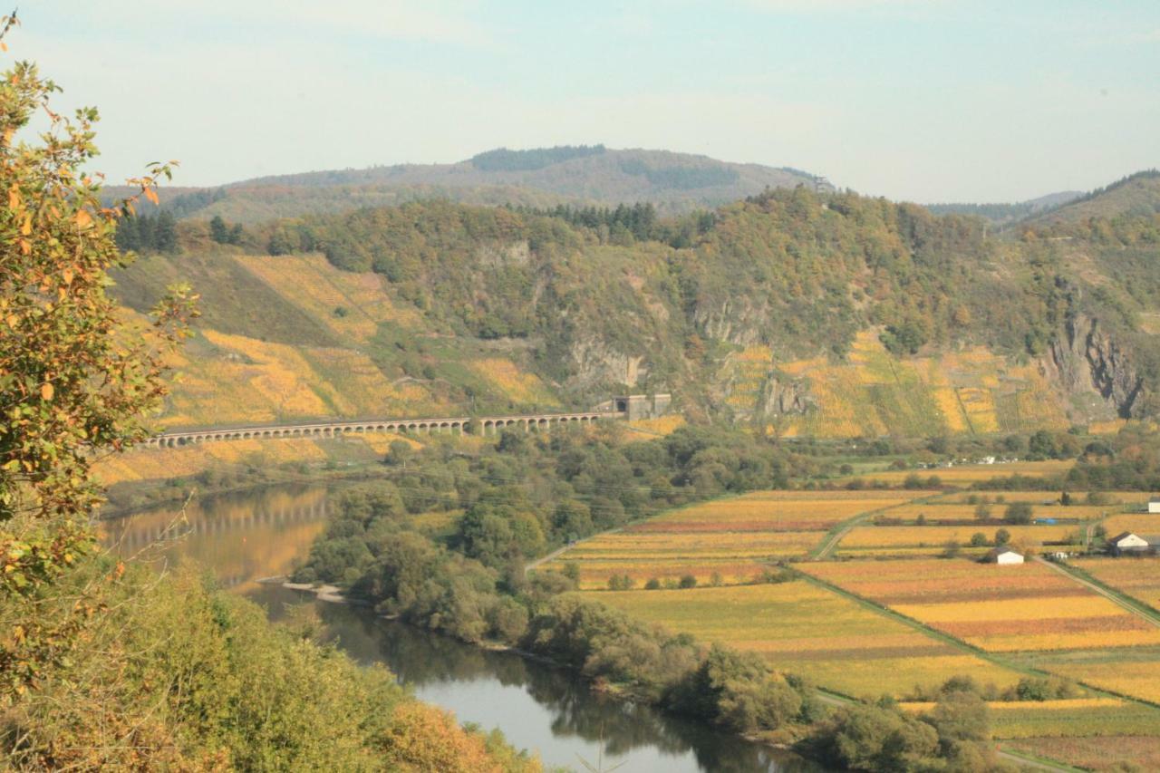 Weingut-Brennerei-Gaestehaus Emil Dauns Райль Екстер'єр фото